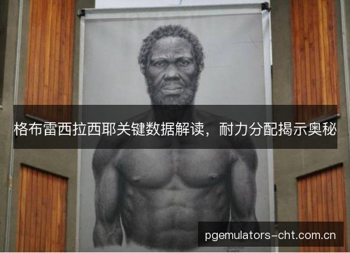 格布雷西拉西耶关键数据解读，耐力分配揭示奥秘